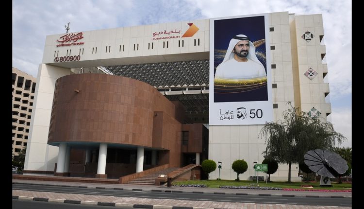 Dubai's 'Future Talents' Scholarship Program Targets High-Demand Scientific Fields