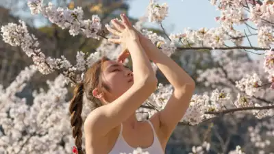 7 Japanese Techniques to Overcome Laziness