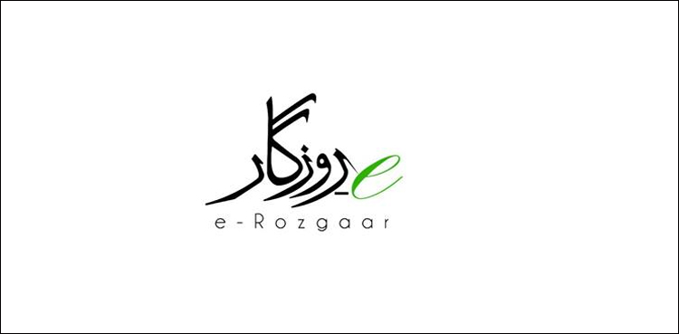 E-Rozgar Program Empowers Punjab's Youth