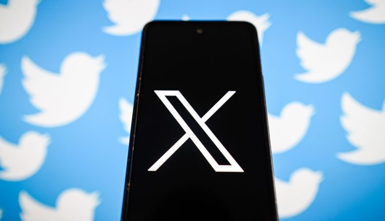 WWF's Clever Strategy: Using Twitter Rebrand to Spotlight Bird Extinction Threat