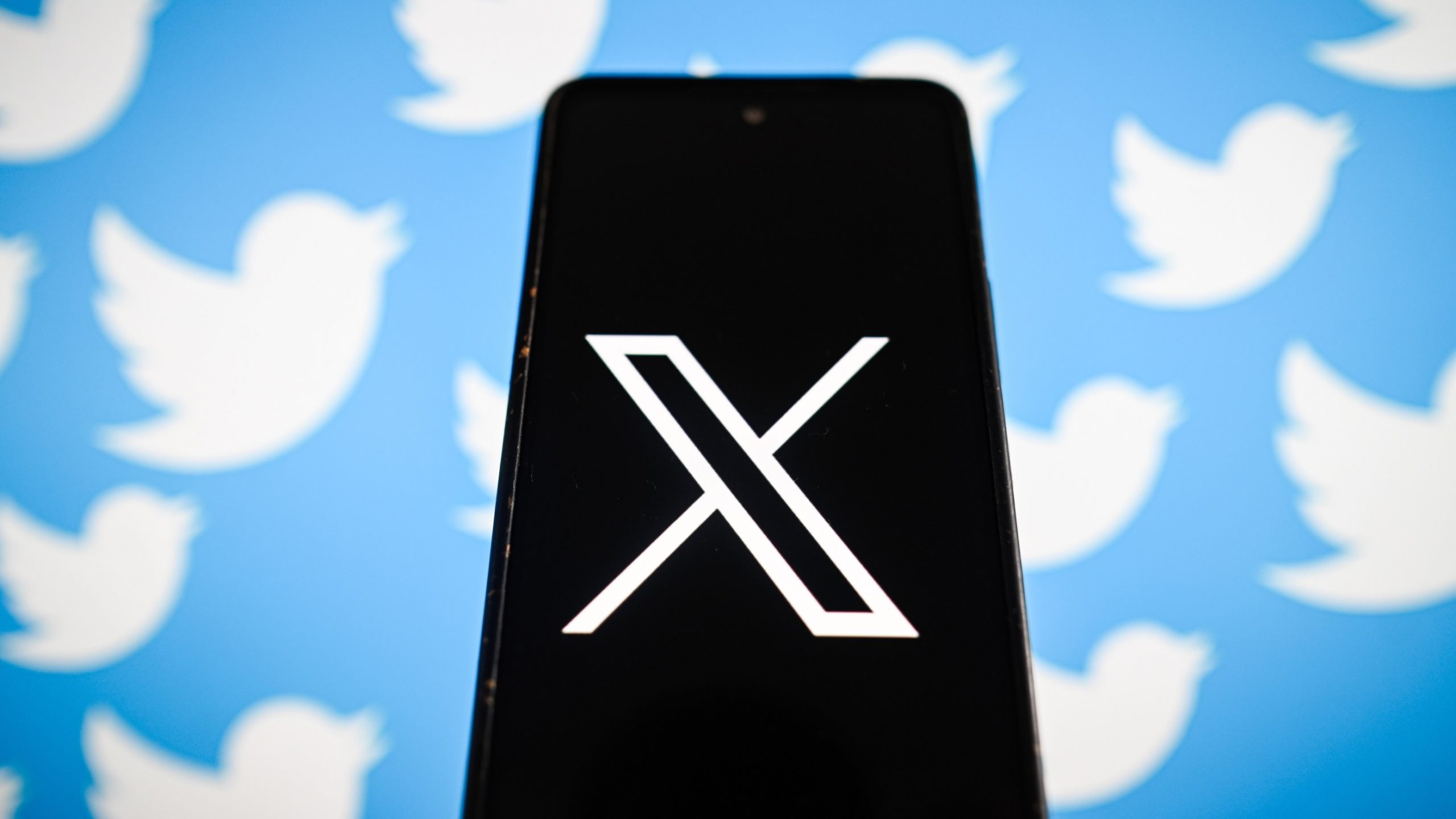 WWF's Clever Strategy: Using Twitter Rebrand to Spotlight Bird Extinction Threat