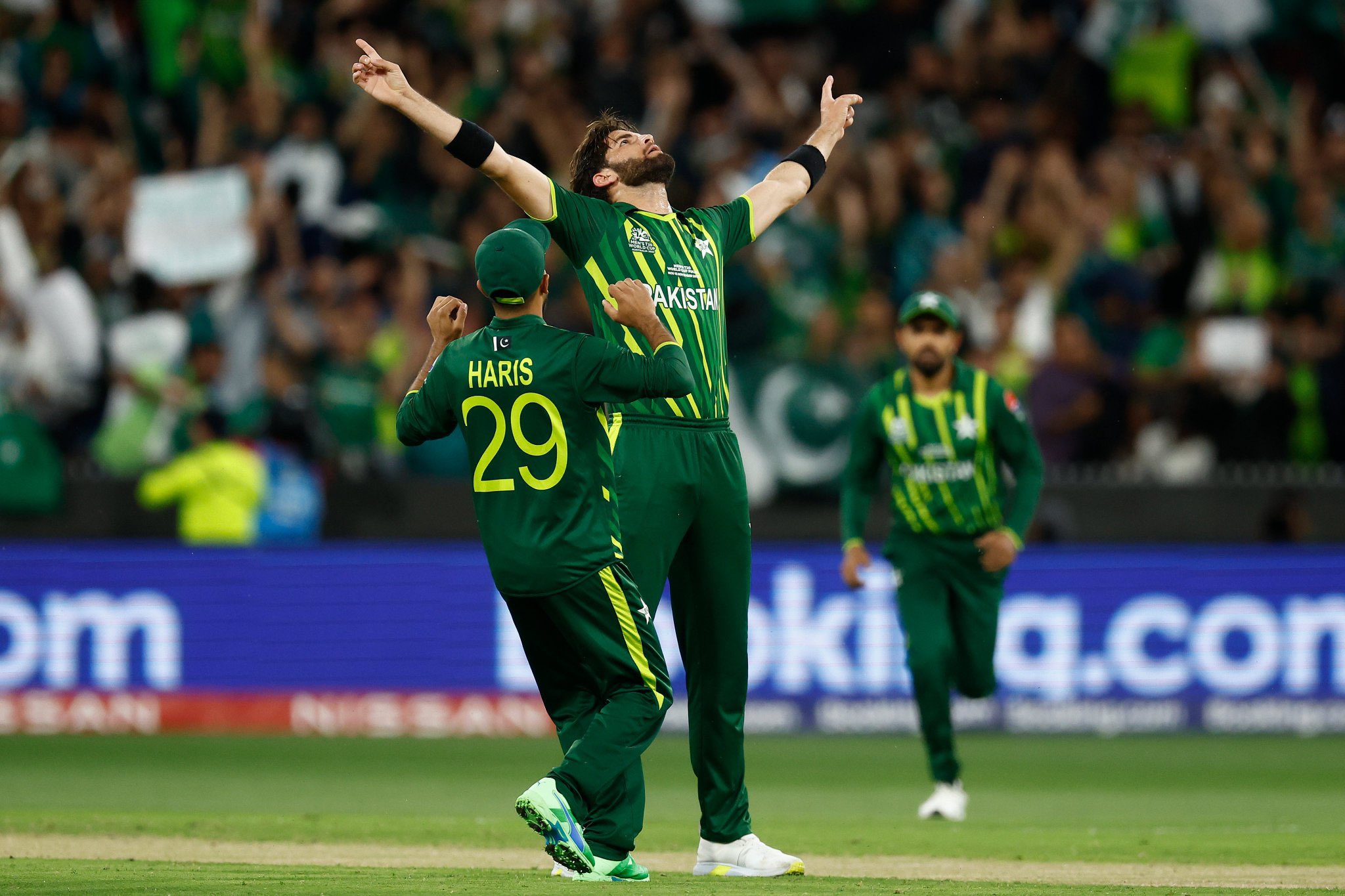 Shaheen Afridi Hits 250 Wickets Milestone in ODI Cricket
