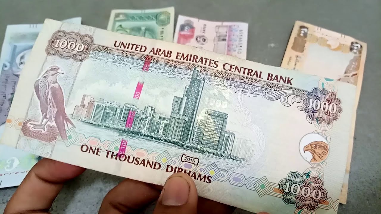 Pakistani Rupee Recovers Against UAE Dirham After Dollar Trading Crackdown
