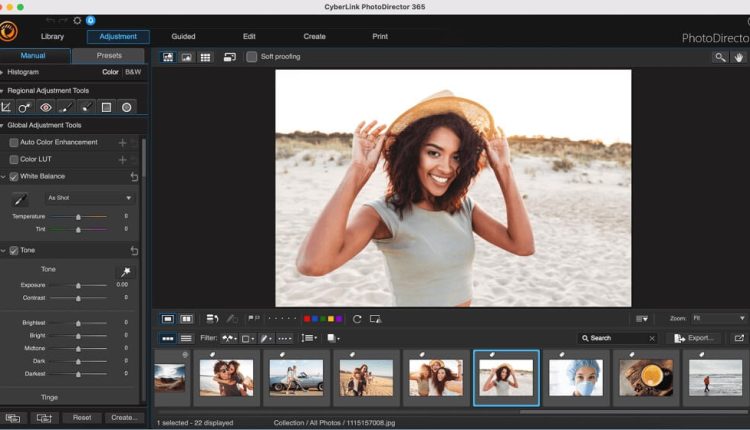 Pictor: A Top-Notch and Free Software for Image Editing