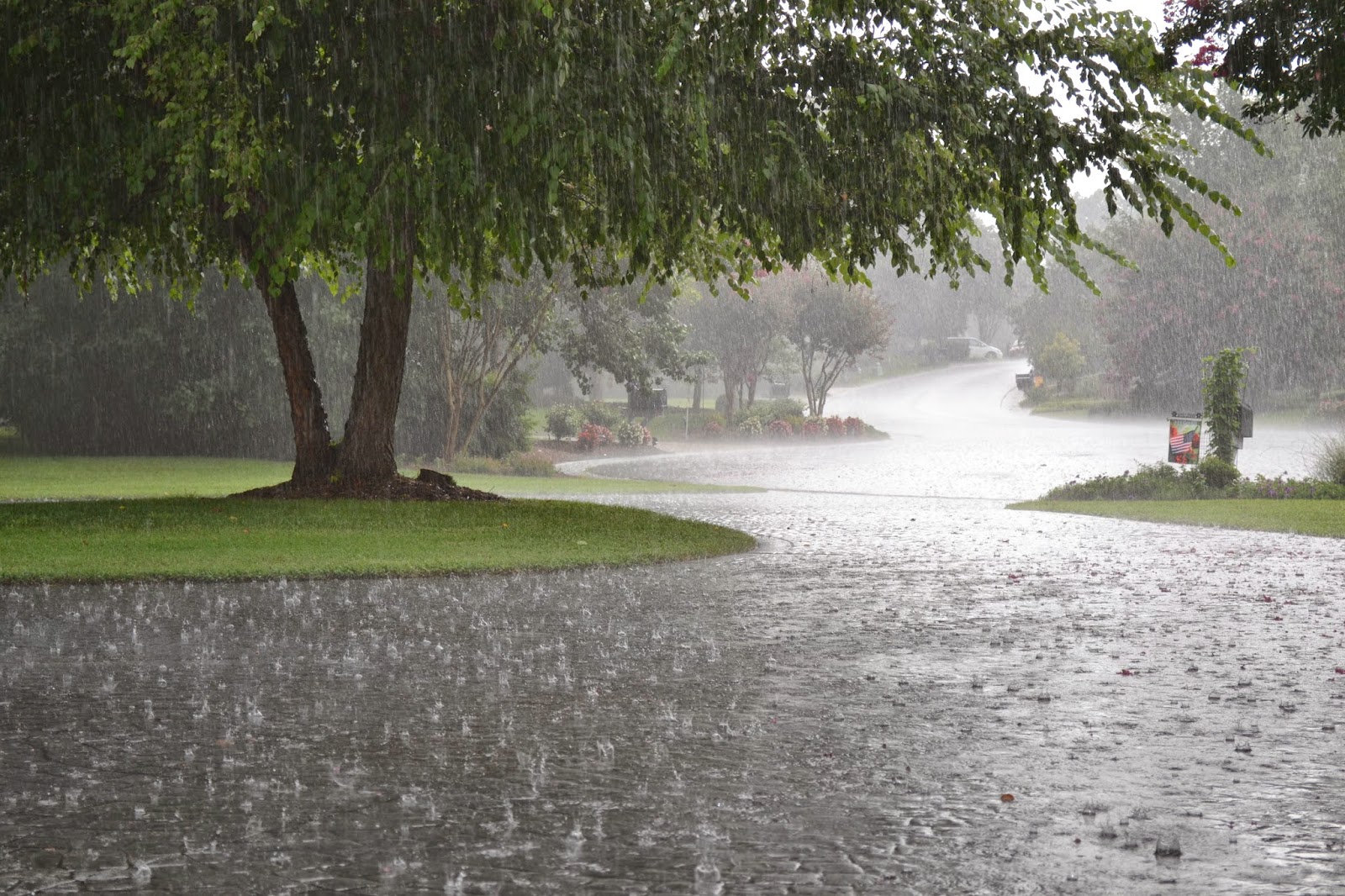 Pakistan Weather Forecast: Heavy Rainfall Expected in Multiple Regions