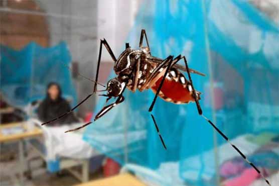 بنگلا دیش: ڈینگی وائرس انتہائی خطرناک وباء بن گیا
