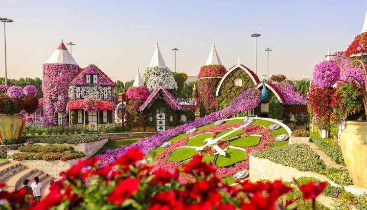 Exclusive Discounts for UAE Residents at Dubai Miracle Garden